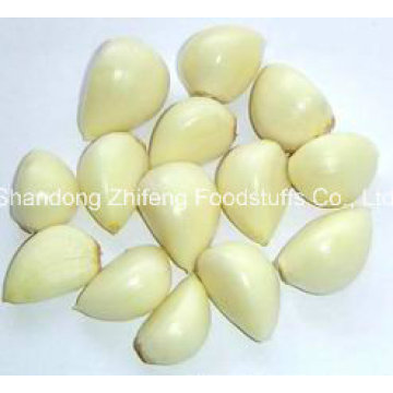 2016 New Crop Fresh Peeled Garlic with High Quality